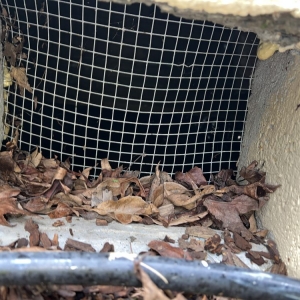 Photo of D&B Rodent Proofing