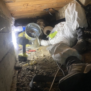 Photo of D&B Rodent Proofing