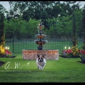 Fairview Secret Gardens