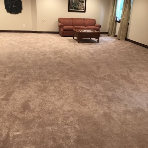 Photo of Carpet Repair Service