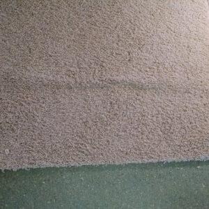 Photo of Carpet Repair Service