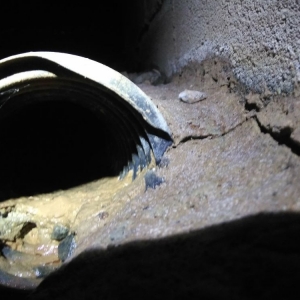 Photo of Carolina Crawl Space Care
