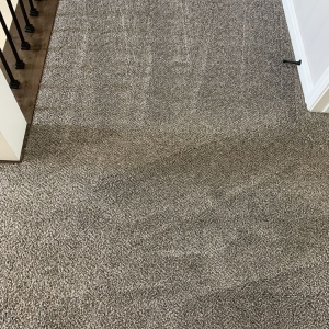 Photo of Rich's Carpet Cleaning Plus