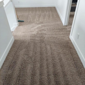 Photo of Rich's Carpet Cleaning Plus