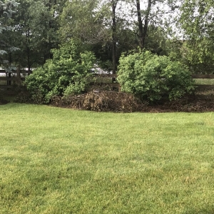 Photo of Best Choice Landscape