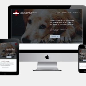 Photo of Social Spark Media
