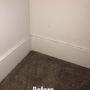 Photo of GoClean
