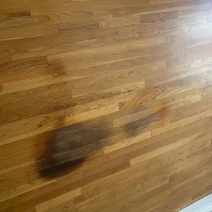 Photo of Mario Diaz Flooring