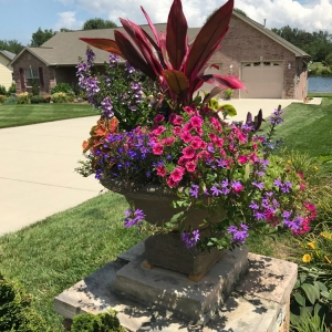 Photo of Serenity Gardens