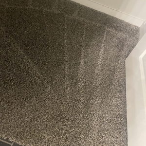 Photo of The Carpet Cleaner