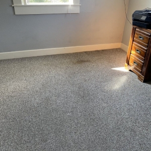Photo of The Carpet Cleaner