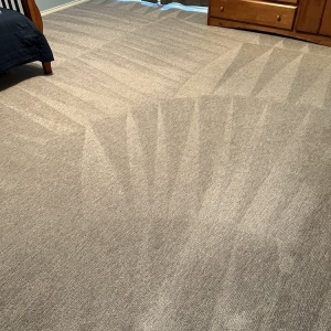 Photo of The Carpet Cleaner