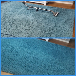 Photo of The Carpet Cleaner