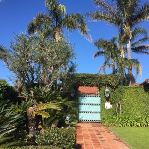 Photo of Yoon's Landscaping and Gardening Service