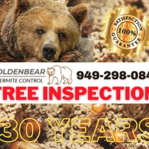 Photo of Goldenbear Termite Control