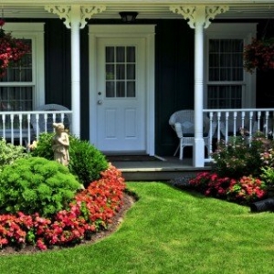 Photo of Central Tree Services and Landscape Designs