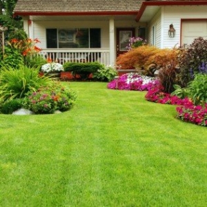 Photo of Central Tree Services and Landscape Designs
