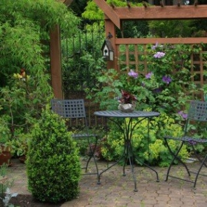 Photo of Central Tree Services and Landscape Designs
