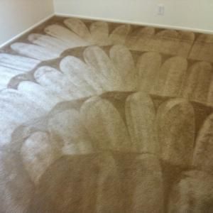 Photo of Superb Carpet and Upholstery Cleaning