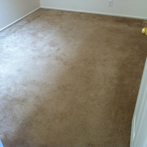 Photo of Superb Carpet and Upholstery Cleaning