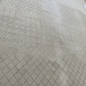 Photo of Superb Carpet and Upholstery Cleaning