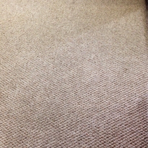 Photo of Superb Carpet and Upholstery Cleaning