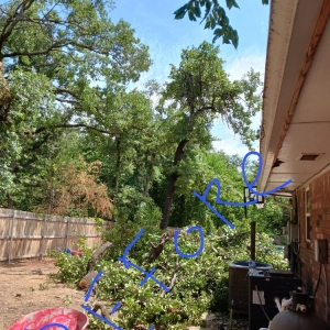 Photo of Ramos Landscaping & Tree Service