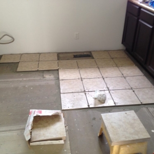 Photo of The Hoover Handyman