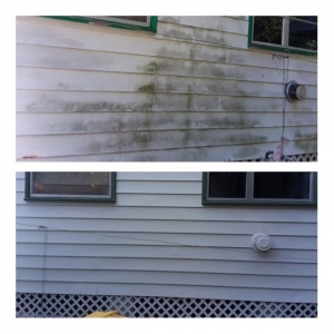 Photo of A Better Look Cleaning Services