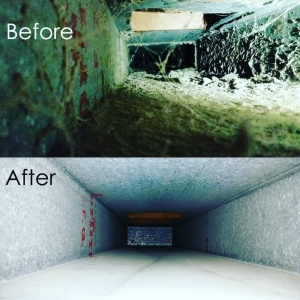Photo of Michigan Air Care