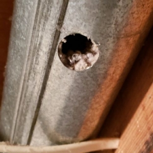 Photo of Michigan Air Care