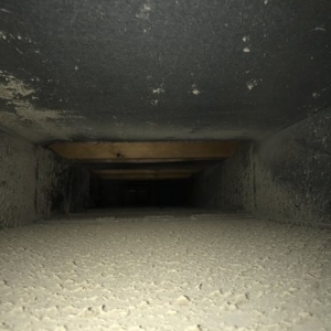 Photo of Michigan Air Care