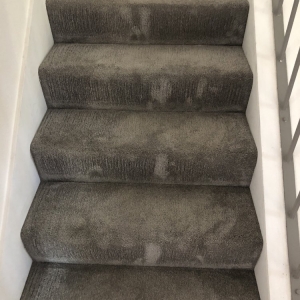 Photo of Heaven's Best Carpet Cleaning