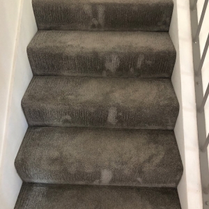 Photo of Heaven's Best Carpet Cleaning