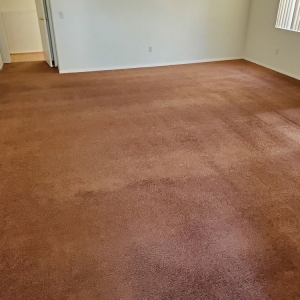 Photo of Heaven's Best Carpet Cleaning