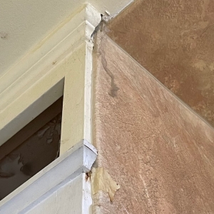 Photo of Modern Cleaning