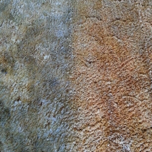 Photo of General Carpet, Upholstery, Tile & Area Rug Cleaning