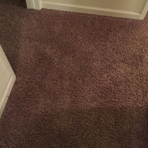 Photo of General Carpet, Upholstery, Tile & Area Rug Cleaning