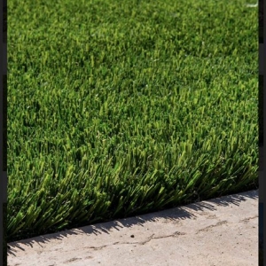 Photo of Turf Exchange