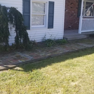 Photo of Primo Landscape Design