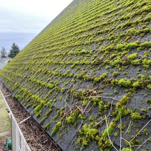 Photo of Spartan Windows & Gutters
