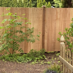 Photo of Sky Fence