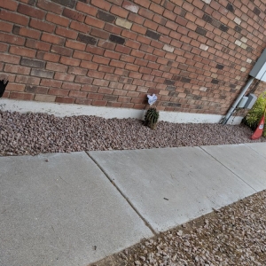 Photo of Arizona Rock Depot