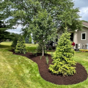 Photo of Maya Lawn Landscaping