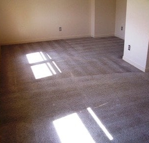 Photo of Eco-Pure Carpet Cleaning