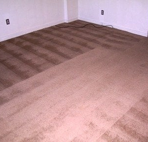 Photo of Eco-Pure Carpet Cleaning