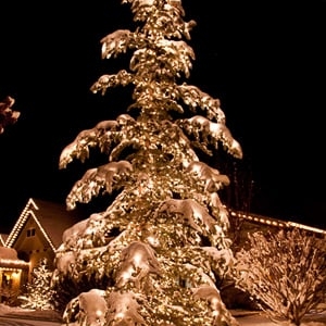 Photo of Holiday Help