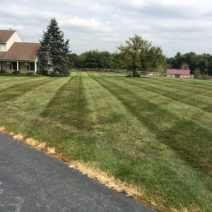 Photo of JPS Landscaping & Lawn Care