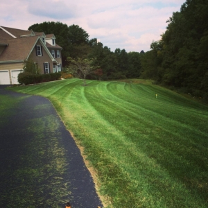 Photo of JPS Landscaping & Lawn Care