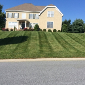Photo of JPS Landscaping & Lawn Care